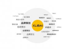  软件应用定制开发服务 