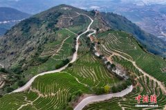 福建连江：登高望茶山 风光如画卷